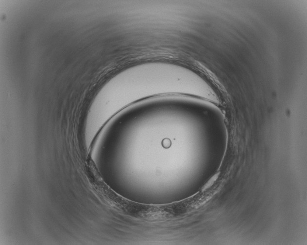 X0000067520209200604101335