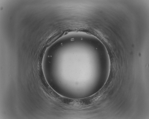 X0000067520211200604101335