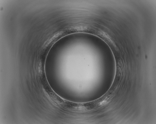 X0000067520212200604101335