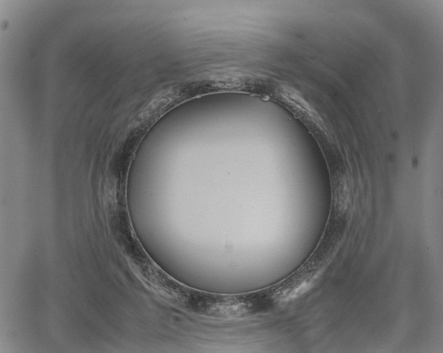 X0000067520213200604101335