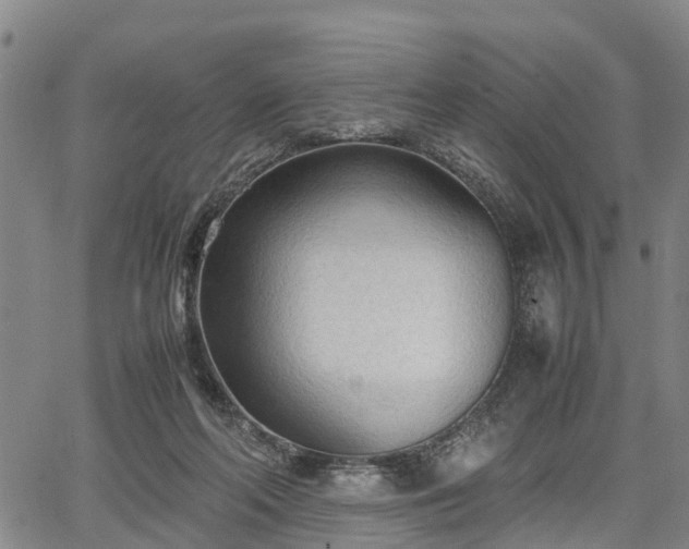 X0000067520214200604101335