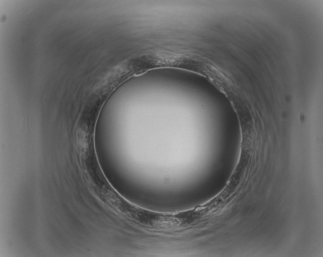 X0000067520215200604101335