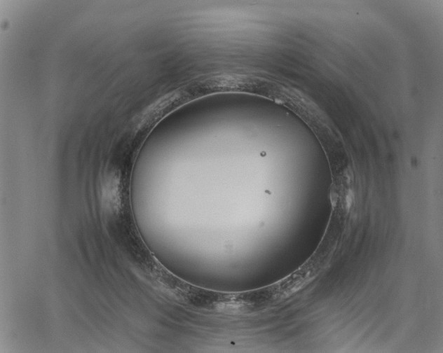 X0000067520216200604101335