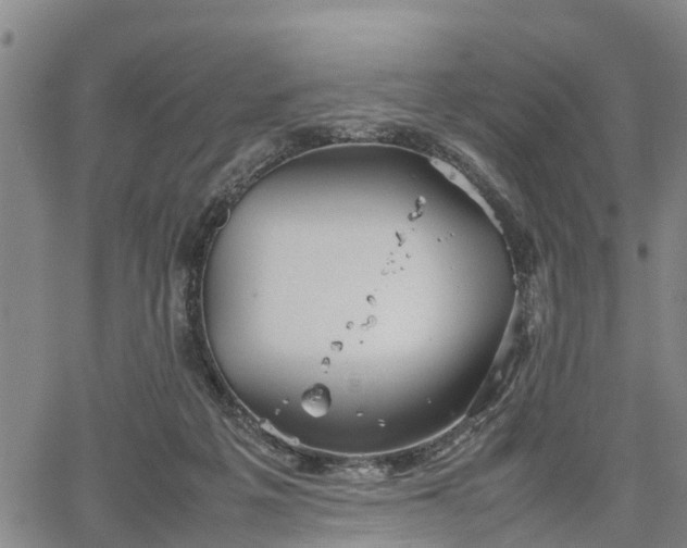 X0000067520217200604101335