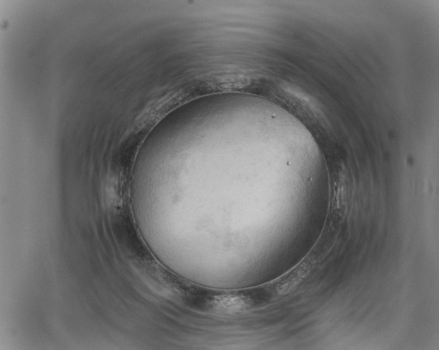 X0000067520218200604101334