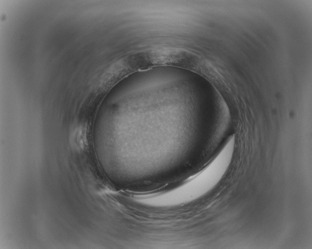 X0000067520219200604101334