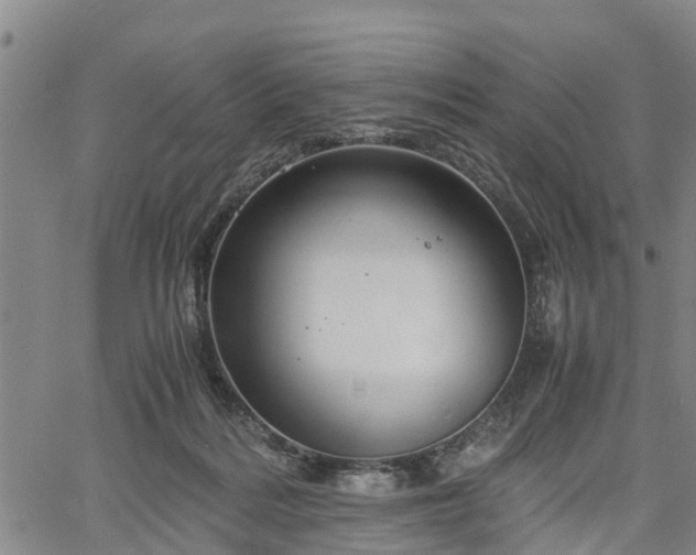 X0000067520220200604101334