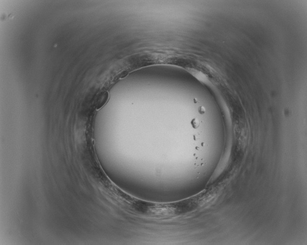 X0000067520221200604101334