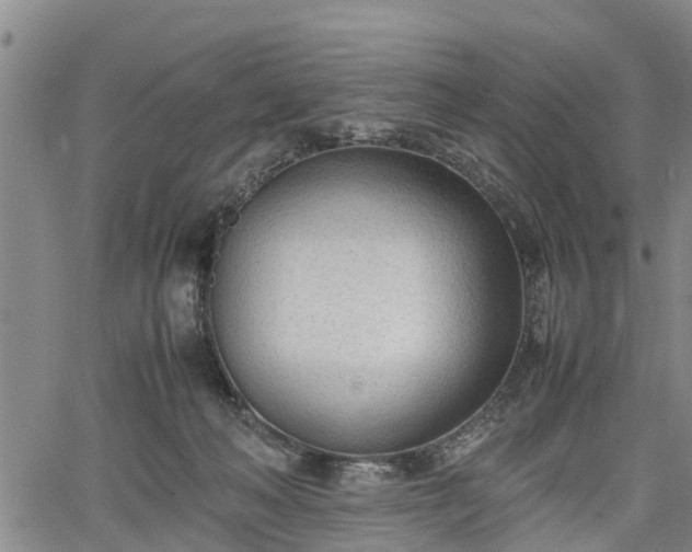 X0000067520222200604101334