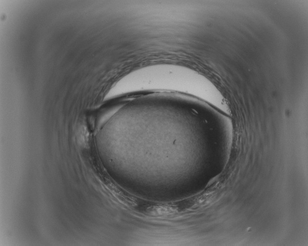 X0000067520223200604101334