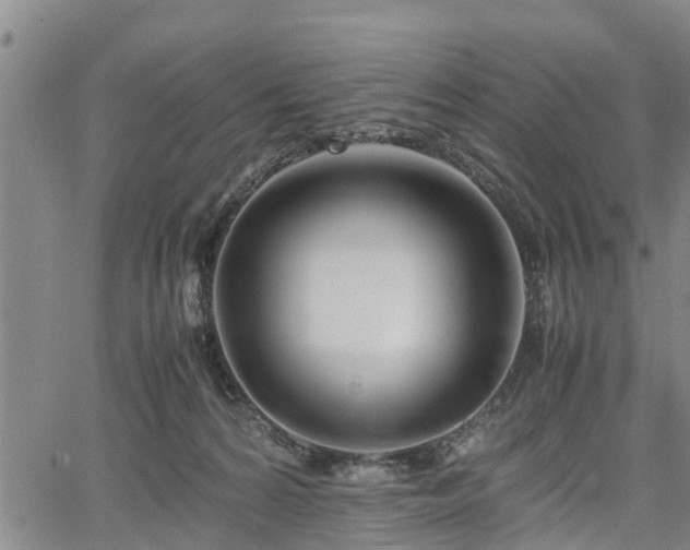 X0000067520224200604101334