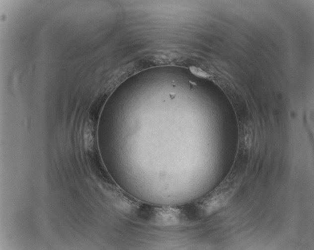 X0000067520226200604101334