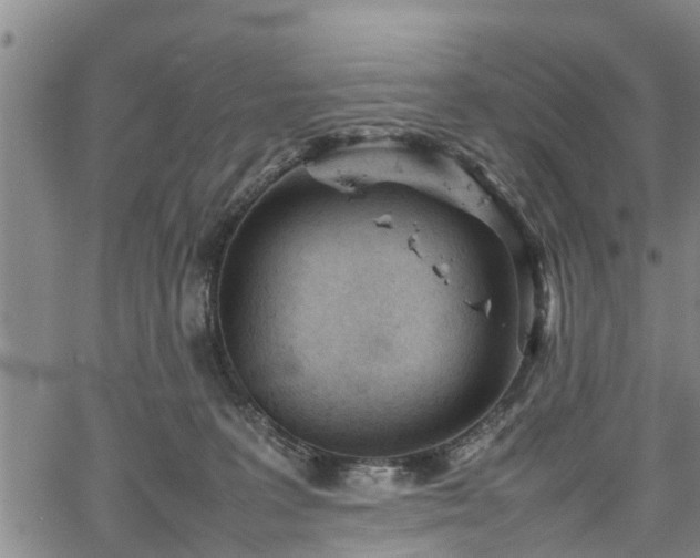 X0000067520227200604101334