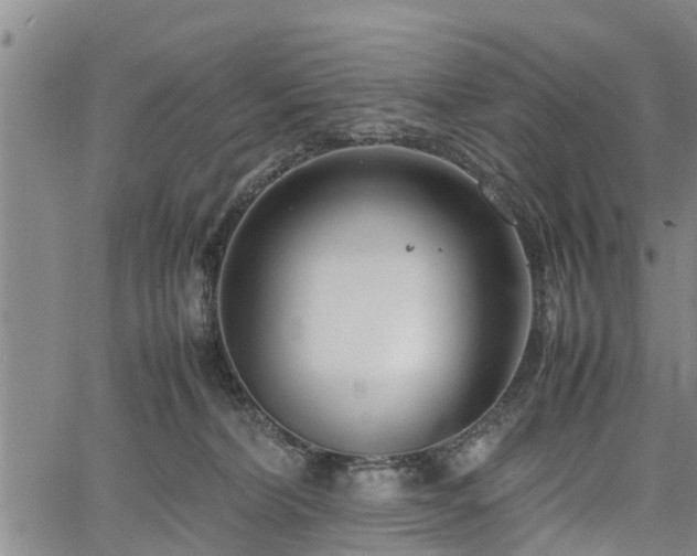 X0000067520228200604101334