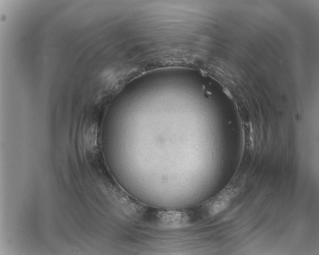 X0000067520230200604101334