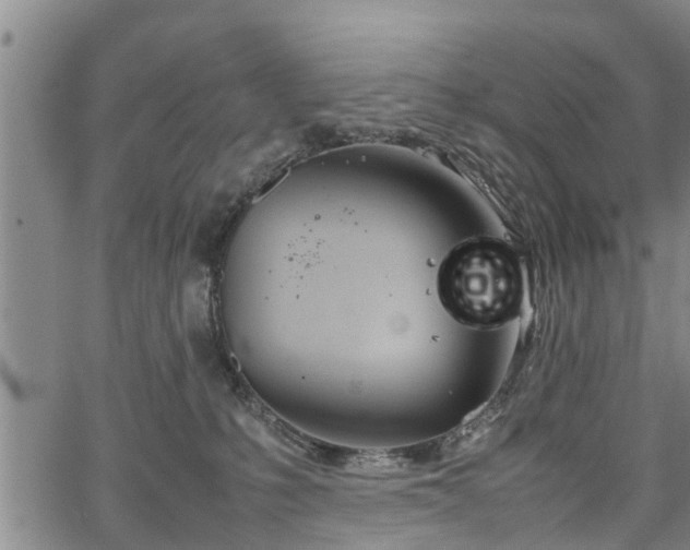 X0000067520231200604101334