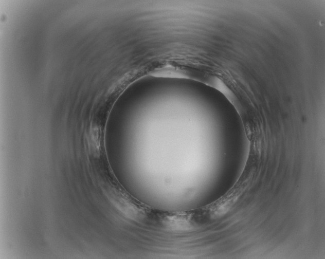 X0000067520232200604101334