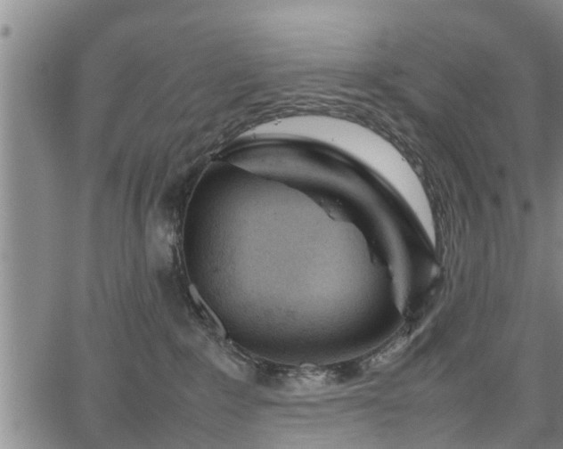 X0000067520235200604101334