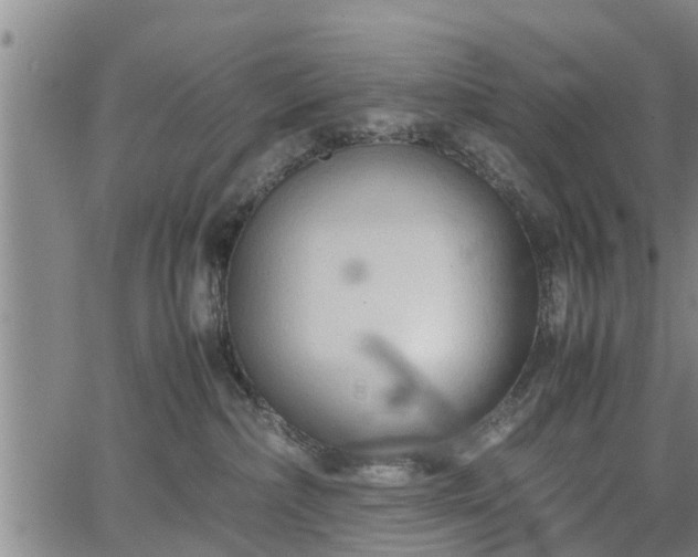 X0000067520236200604101334