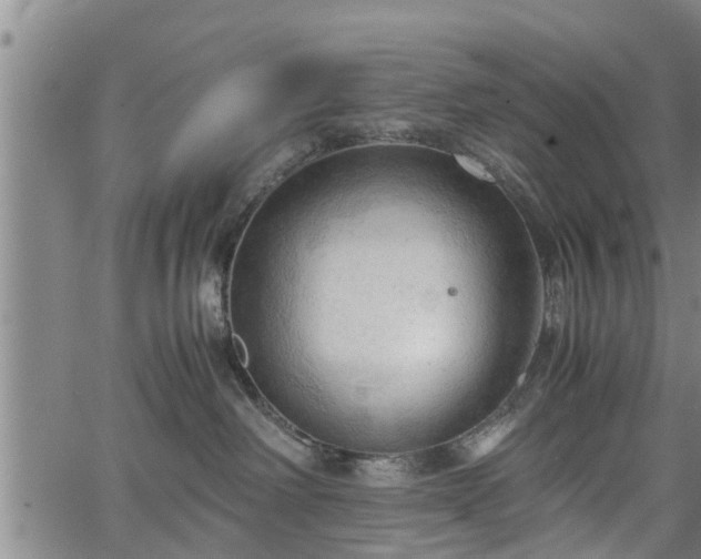 X0000067520238200604101334