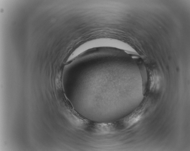 X0000067520239200604101334