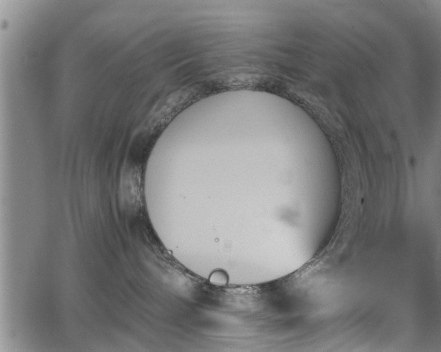 X0000067520240200604101334