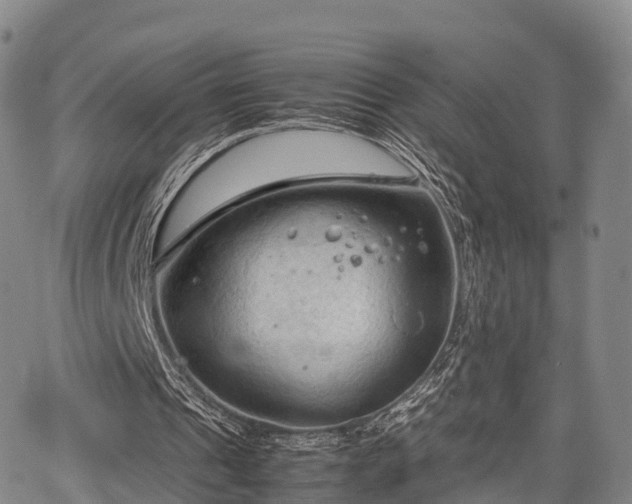 X0000067520241200604101333