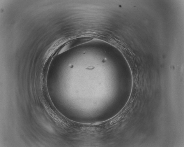 X0000067520242200604101333