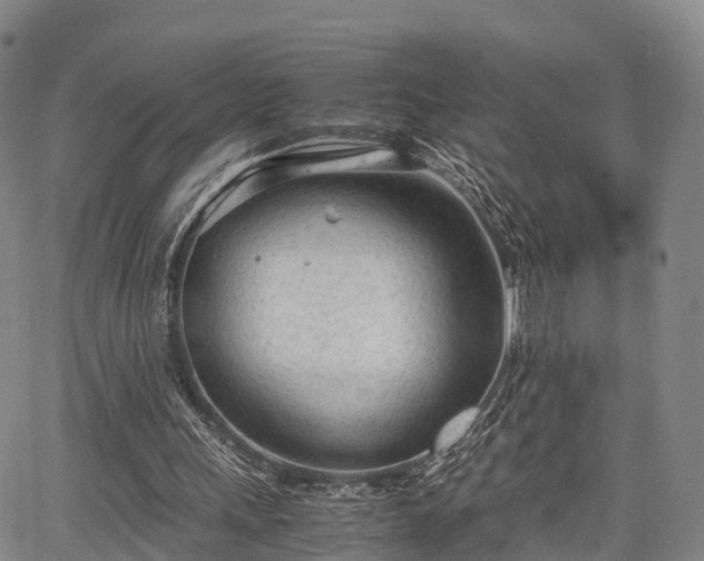 X0000067520243200604101333