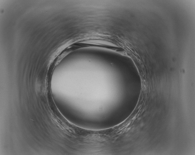 X0000067520244200604101333