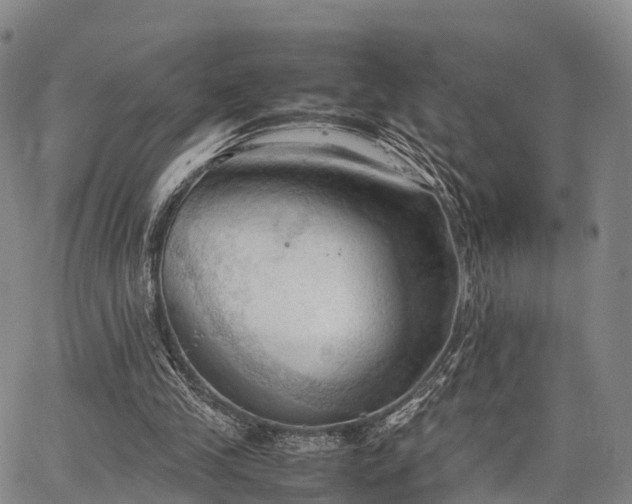 X0000067520245200604101333