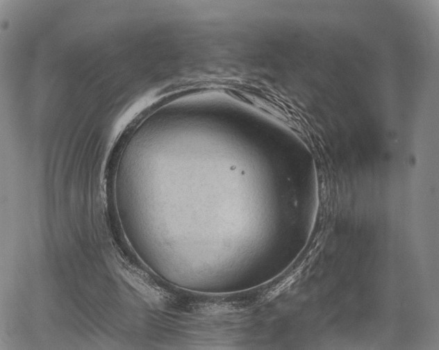 X0000067520246200604101333