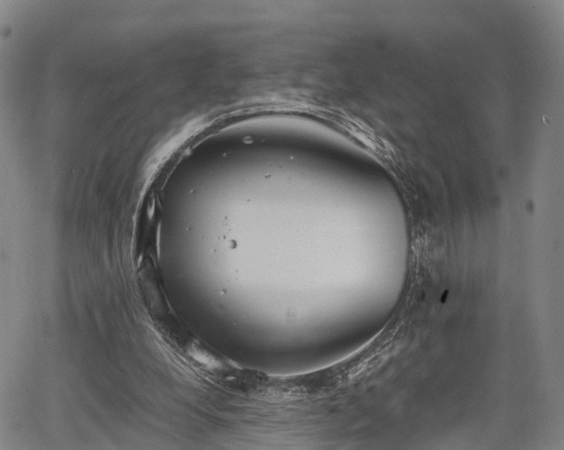 X0000067520248200604101333