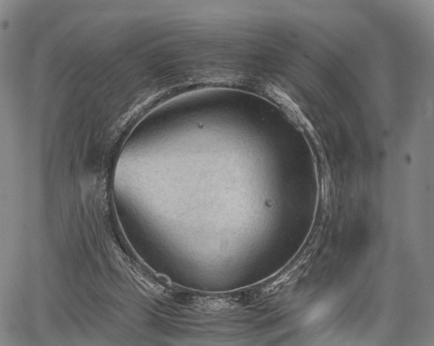 X0000067520249200604101333