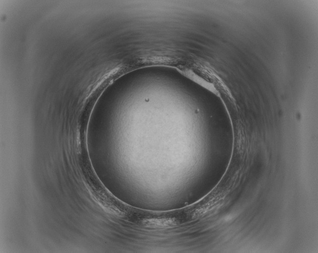 X0000067520251200604101334