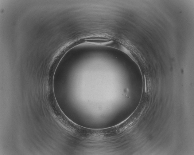 X0000067520252200604101334