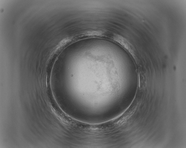 X0000067520253200604101334