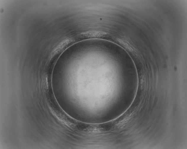 X0000067520254200604101334