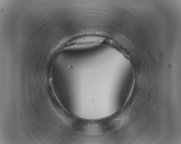 X0000067520256200604101334