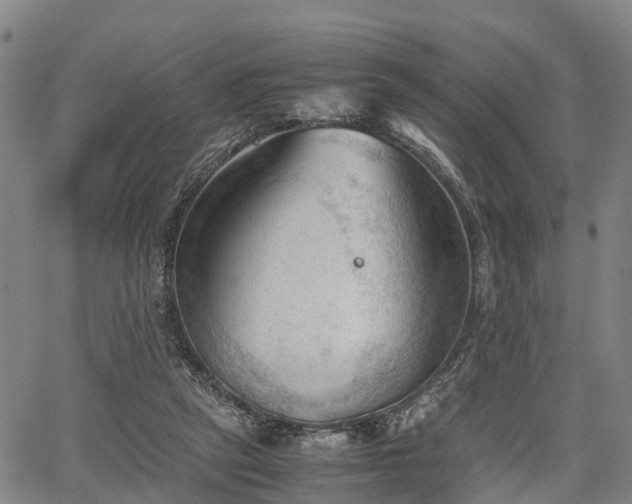 X0000067520257200604101334