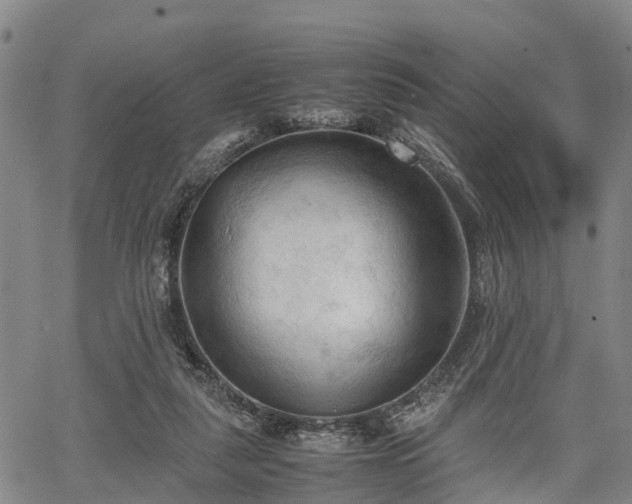 X0000067520259200604101334