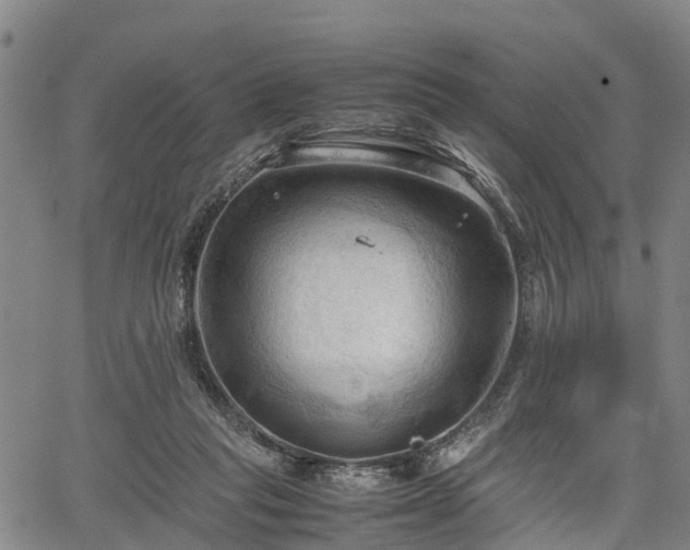 X0000067520261200604101334