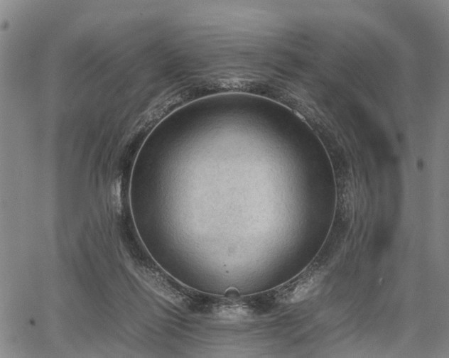 X0000067520262200604101334