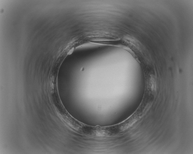 X0000067520264200604101334