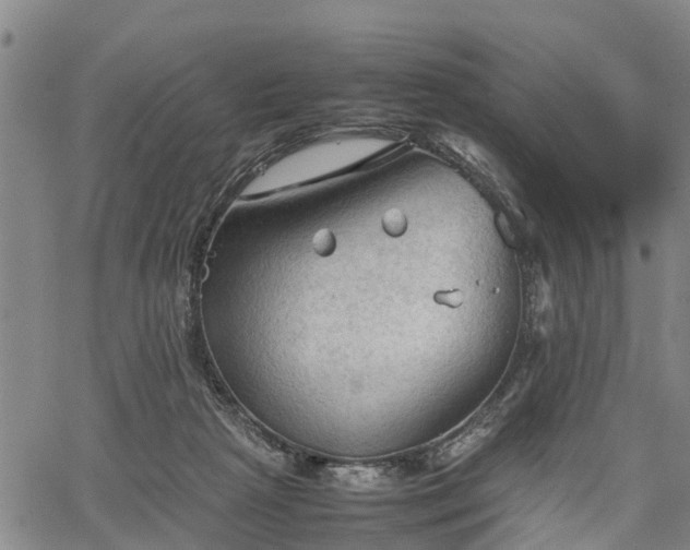 X0000067520265200604101334