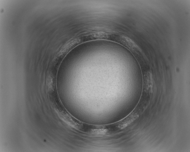 X0000067520266200604101334