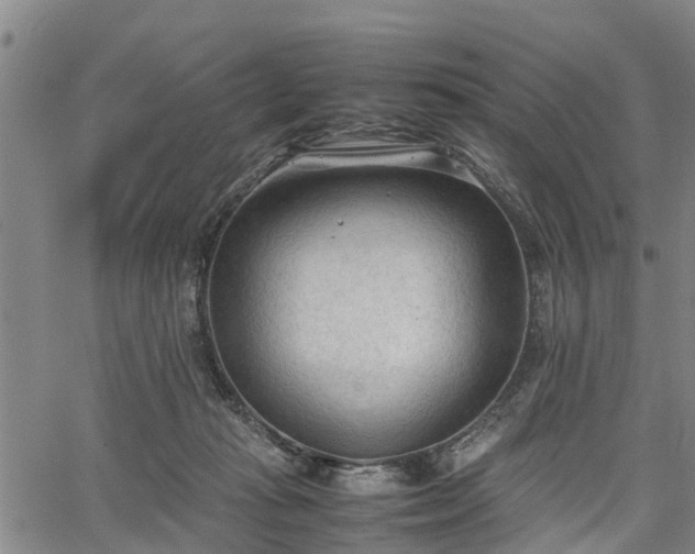 X0000067520269200604101334