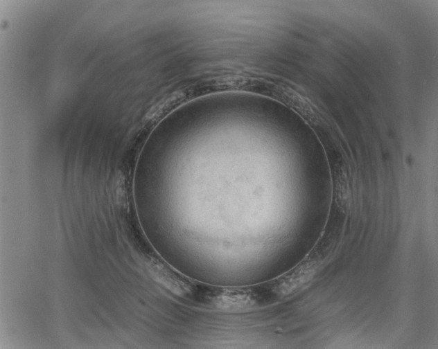 X0000067520270200604101334