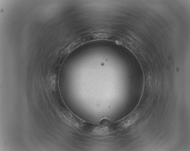 X0000067520271200604101334