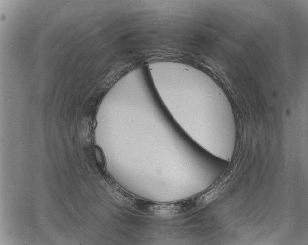 X0000067520273200604101334